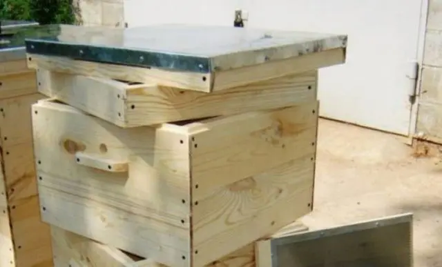 Multi-hull keeping of bees: pros and cons