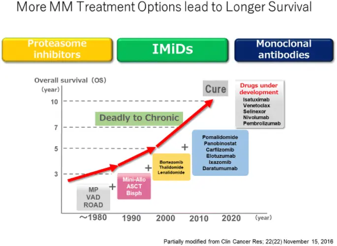 Multiple myeloma &#8211; modern treatment, longer life