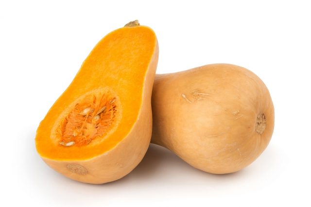 Muscat pumpkin: photo, benefit and harm