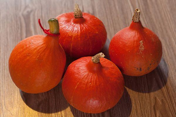 Muscat pumpkin: photo, benefit and harm