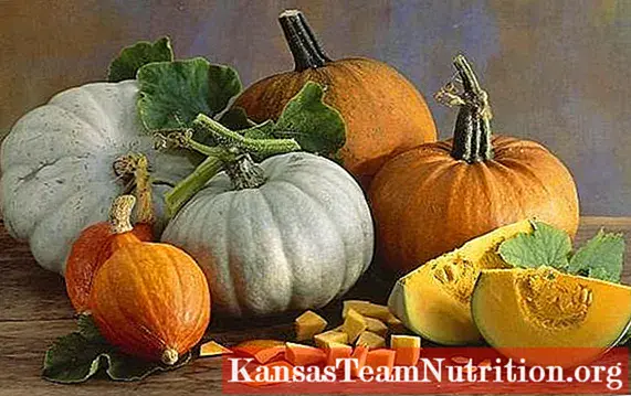 Muscat pumpkin: photo, benefit and harm