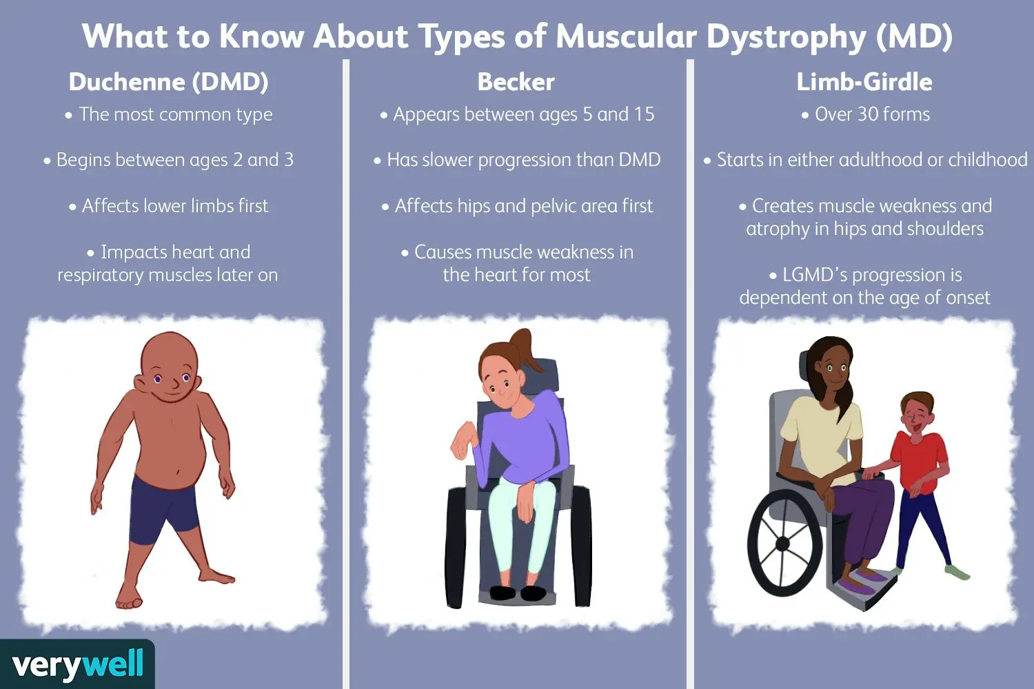 Muscular dystrophy &#8211; types, treatment