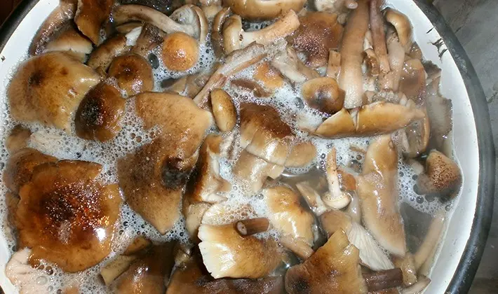 Mushroom caviar according to recipes for cooking from porcini mushrooms