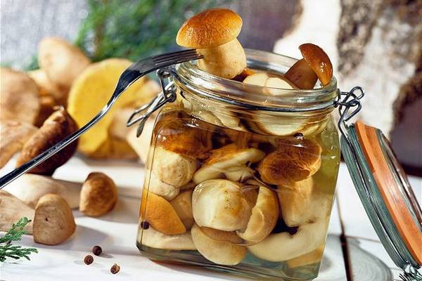 Mushroom caviar from boiled mushrooms - recipes for the winter