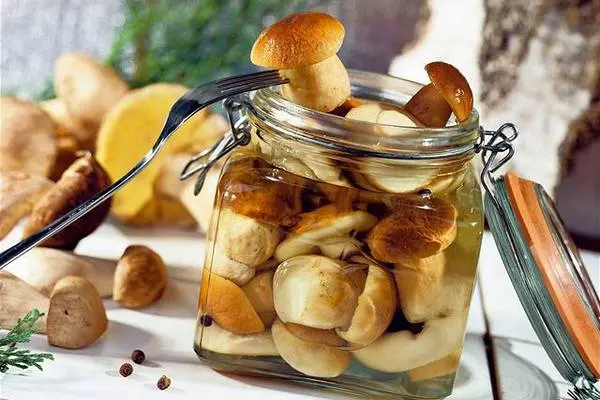 Mushroom caviar from boiled mushrooms - recipes for the winter