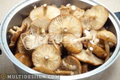 Mushroom caviar from boiled mushrooms &#8211; recipes for the winter