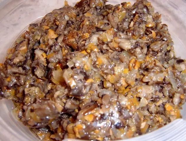 Mushroom caviar from mossiness mushrooms for the winter: recipes You will lick your fingers