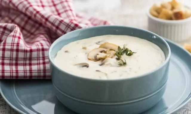 Mushroom cream soup from champignons: recipes with photos