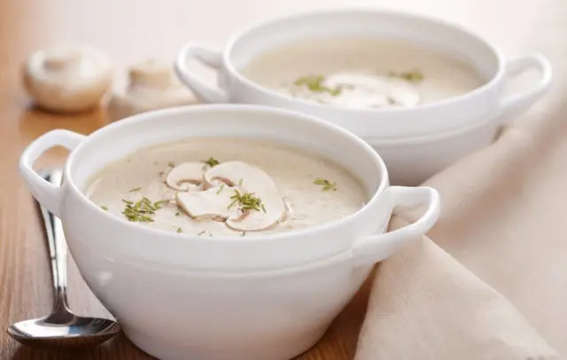 Mushroom cream soup from champignons: recipes with photos