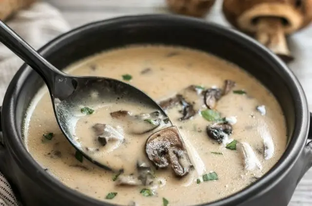 Mushroom cream soup from champignons: recipes with photos