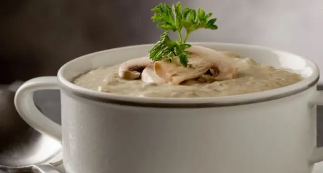 Mushroom cream soup from champignons: recipes with photos