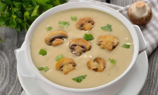 Mushroom cream soup from champignons: recipes with photos