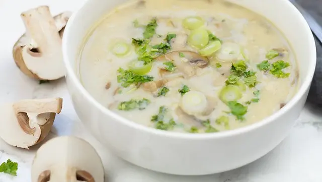 Mushroom cream soup from champignons: recipes with photos