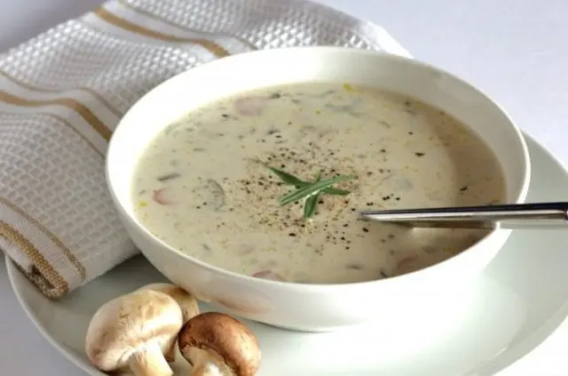 Mushroom cream soup from champignons: recipes with photos