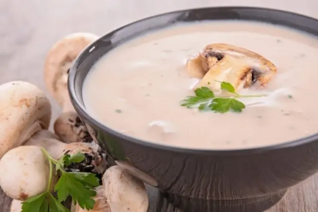 Mushroom cream soup from champignons: recipes with photos