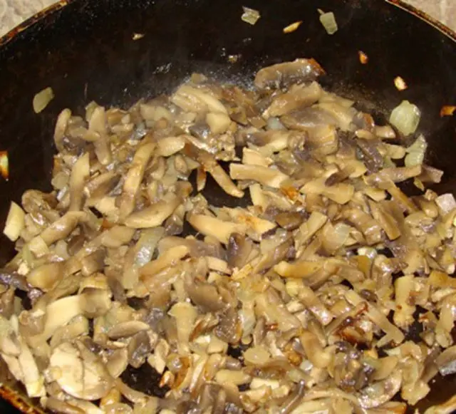 Mushroom flake golden: photo and description, recipes