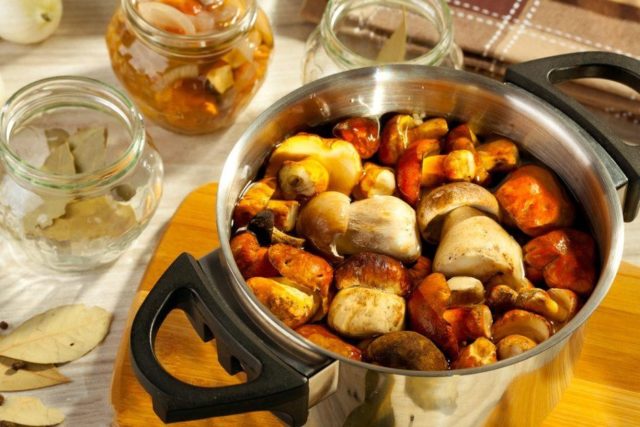 Mushroom mushrooms: recipes for the winter, how much to cook, useful properties