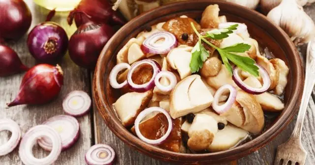 Mushroom mushrooms: recipes for the winter, how much to cook, useful properties