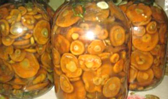 Mushroom mushrooms under oppression: recipes for homemade pickling of mushrooms