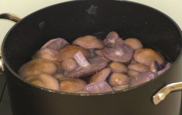 Mushroom purple rowing: cooking methods, reviews and photos