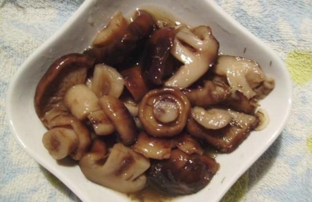 Mushroom purple rowing: cooking methods, reviews and photos