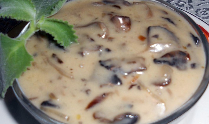 Mushroom sauces: mushroom sauce recipes