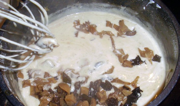 Mushroom sauces: mushroom sauce recipes