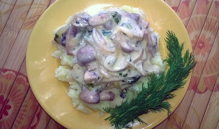 Mushroom sauces: mushroom sauce recipes