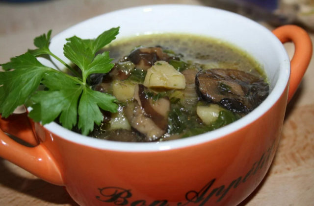 Mushroom soup from fresh mushrooms: cooking recipes with photos