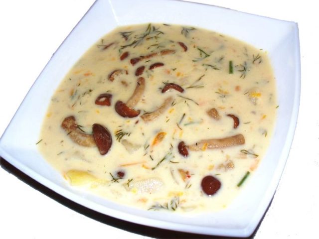 Mushroom soup from fresh mushrooms: cooking recipes with photos