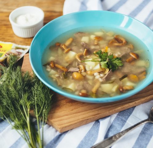 Mushroom soup from fresh mushrooms: cooking recipes with photos