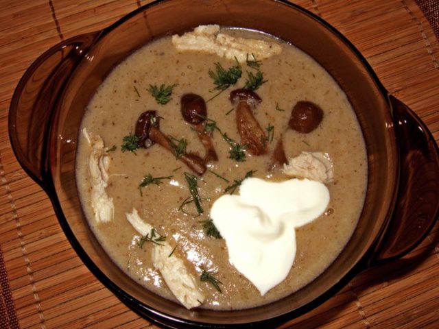 Mushroom soup from fresh mushrooms: cooking recipes with photos