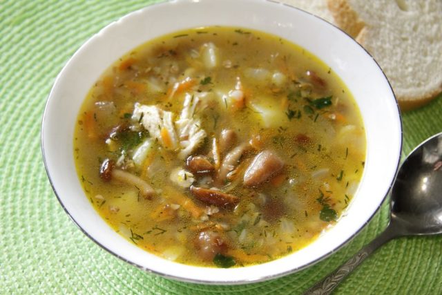 Mushroom soup from fresh mushrooms: cooking recipes with photos