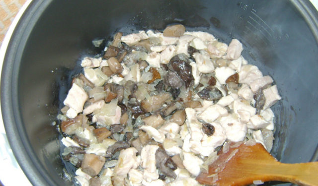 Mushroom soup from fresh mushrooms: cooking recipes with photos