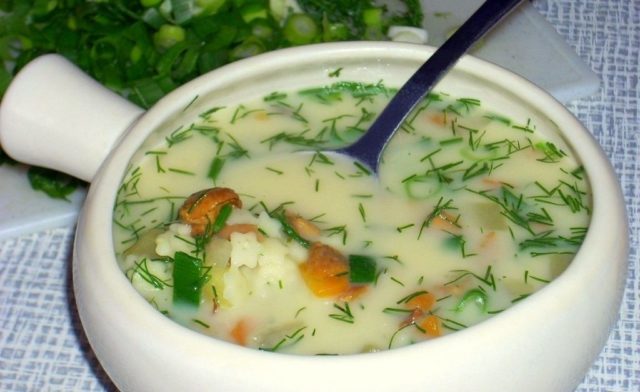 Mushroom soup from fresh mushrooms: cooking recipes with photos