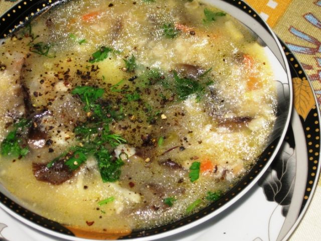 Mushroom soup from fresh mushrooms: cooking recipes with photos