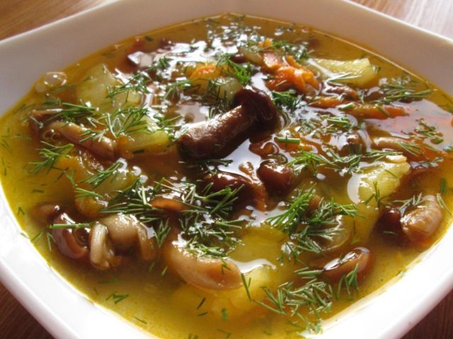 Mushroom soup from frozen mushrooms: recipes with photos