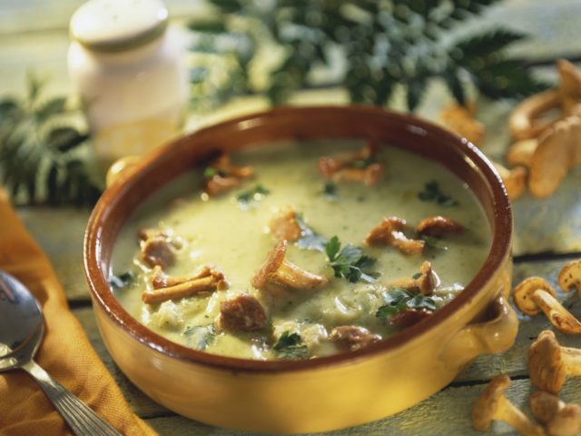 Mushroom soup puree from mushrooms: fresh, frozen, dried