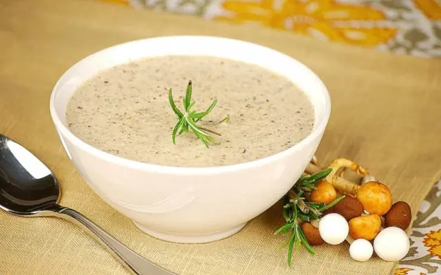 Mushroom soup puree from mushrooms: fresh, frozen, dried