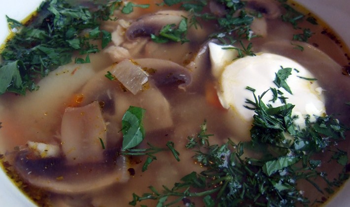 Mushroom soups: homemade recipes