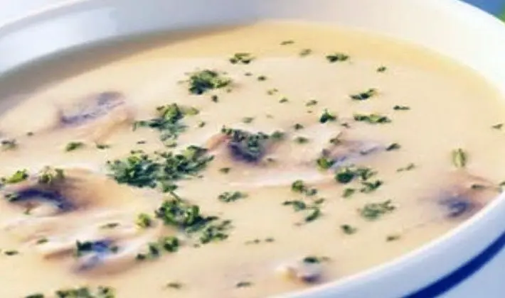 Mushroom soups: homemade recipes