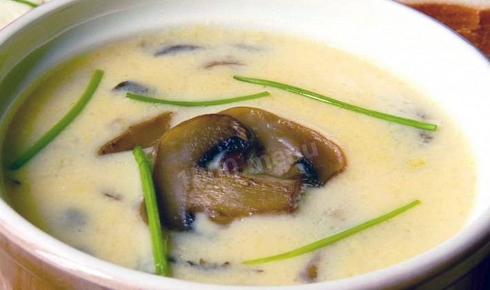 Mushroom soups: homemade recipes