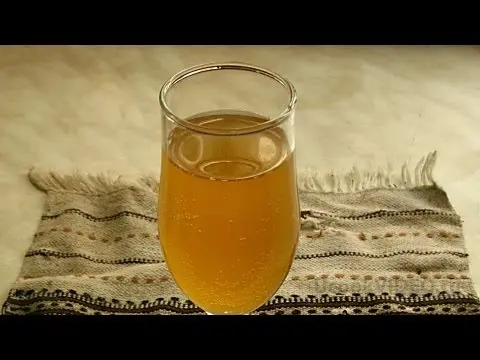 Mushroom tea kvass at home: benefits and harms, recipes