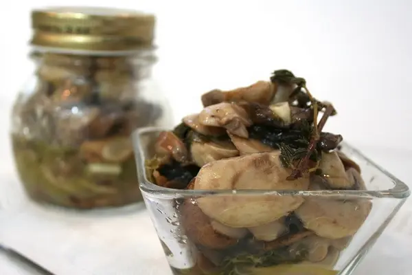 Mushroom umbrella: how to cook, recipes, photos and videos