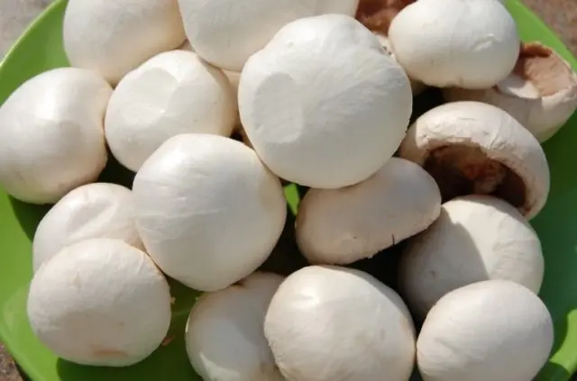 Mushrooms: Do I need to clean and wash fresh mushrooms before cooking