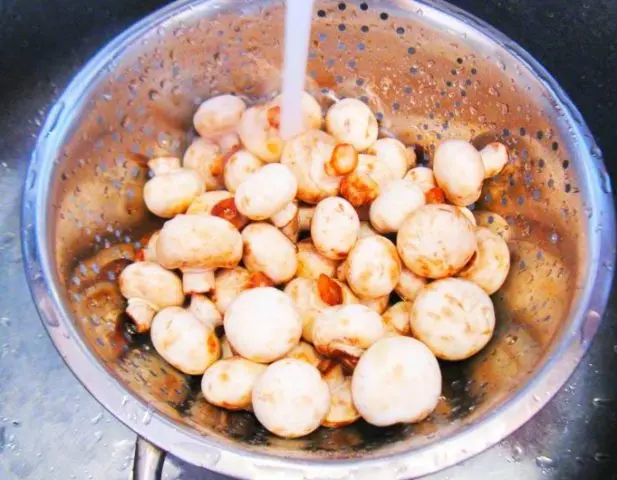 Mushrooms: Do I need to clean and wash fresh mushrooms before cooking