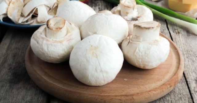 Mushrooms: Do I need to clean and wash fresh mushrooms before cooking