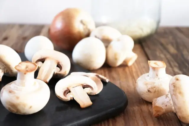 Mushrooms during breastfeeding (HB): is it possible or not, the rules for preparation and use