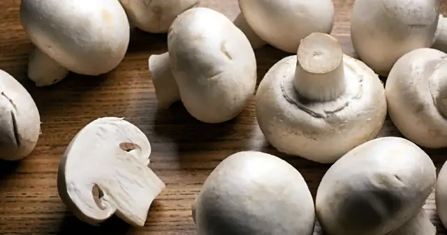 Mushrooms during breastfeeding (HB): is it possible or not, the rules for preparation and use