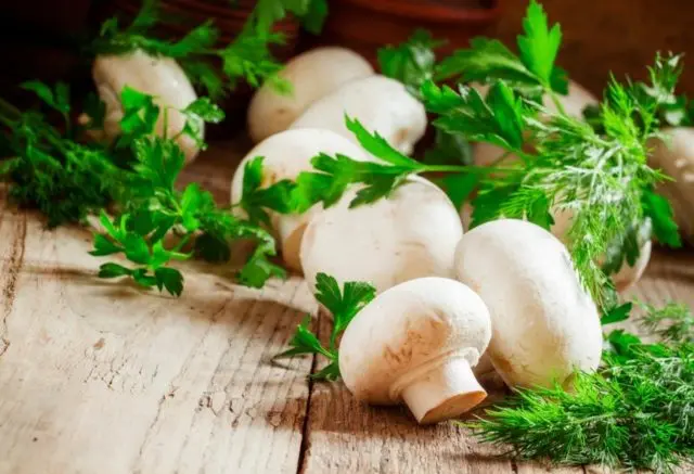 Mushrooms during breastfeeding (HB): is it possible or not, the rules for preparation and use